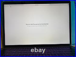 Genuine Apple MacBook Pro 13 LCD Screen Display Assembly GREY 2016 2017